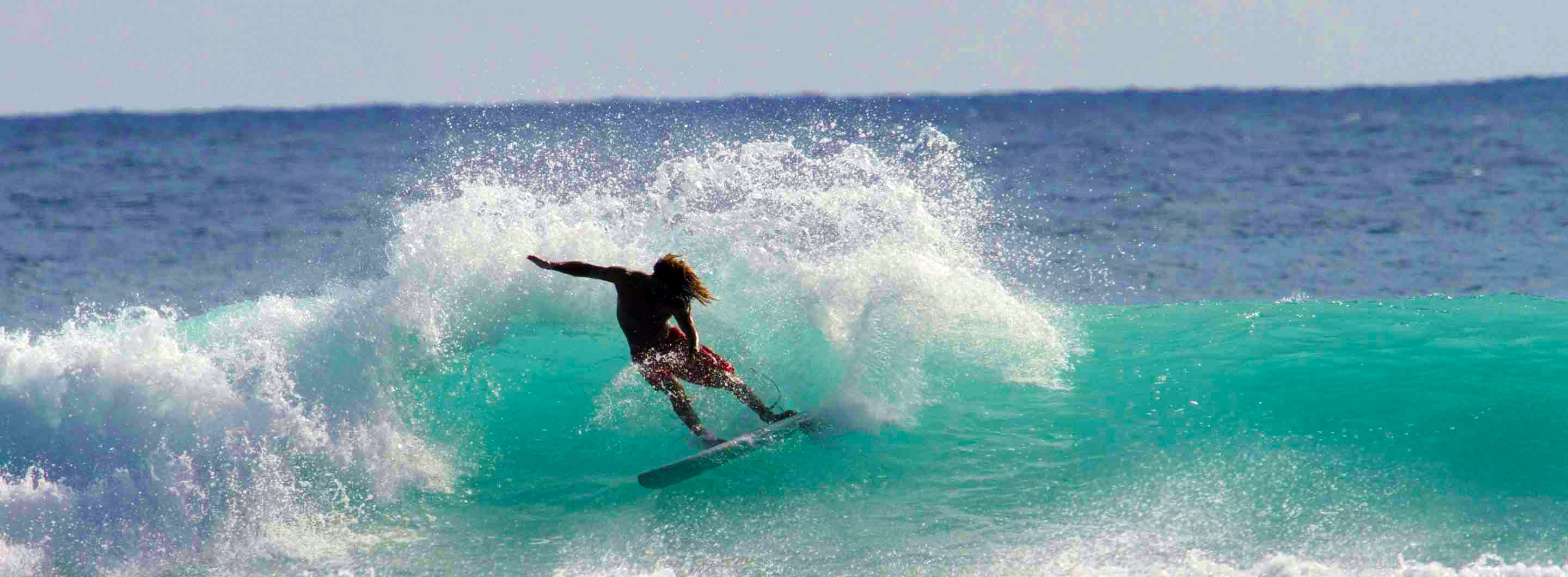 Waikiki Pro Surf Lessons 